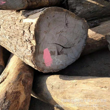 Ƥ��ԭľ �L܇ľ  Ƥ��ľ Ƥ��ԭľ��ĺ�̴ľ �Ҿ� ��ˇ����