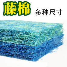 �\���~���^�V�����~���^�V�������^�V���������ձ���ɫ�����{����