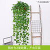 Simulation wall -mounted mountain tiger Changchun vine strip window decoration hanging orchid green plant fake flower decoration manufacturers wholesale