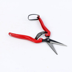 Metal garden horticulture fruit tree pruning shears fruit orange vegetable picking grape fruit picking shears fruit shears thinning fruit shears