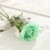 57#green