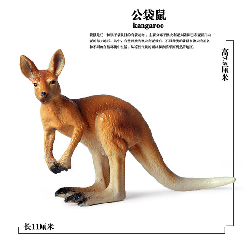 Cross-border children's solid wild simulation animal model male kangaroo and wallaby toy model ornaments hand-made set