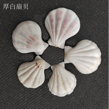 �S��ֱ�N ��Ȼؐ������ �~��ˮ����[�� �����ؐ ��ˇƷԭ�����l