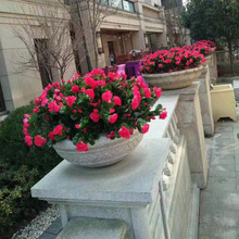 ���S���l����ӳɽ�t���N�V�����۹����쾰�Ҿӈ@ˇ�b�12����N��