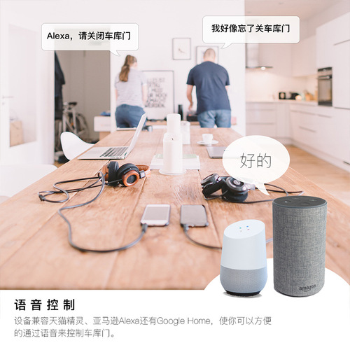 WIFI Tuya Smart Home Garage Door Switch On-Off APP Voice Timing Garage Door Smart Switch