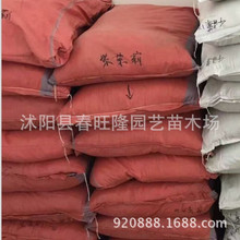 ���w�����l�����򻨻ܲݻ����׻��N�Ӯ����·N �w��M �lѿ�ʸ�