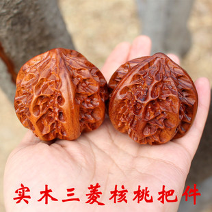 ̴ľ��������ְѼ�ɳĮ�F�������湤ˇƷɳĮ��ľ�|��֦�Ѽ�