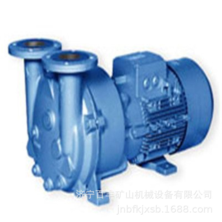 2BE水环真空泵2BE瓦斯抽放泵2BE瓦斯泵2BE液环真空泵厂家直销