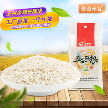 青源禾谷圆糯米五谷杂粮新米端午包粽子原料酒酿糯米厂家现货批发