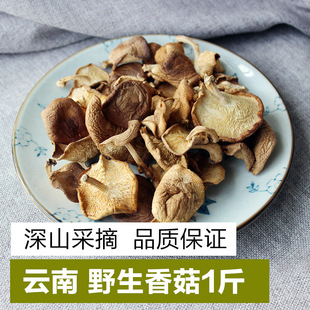 ��ϰ���ɽҰ���㹽�������Ұ����Ģ����ɽ��ժƷ�|���C��ަ