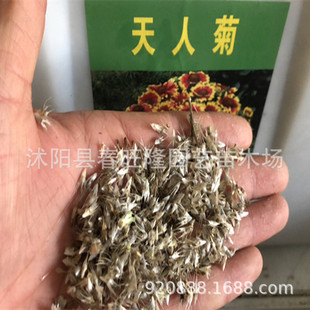 ���l���˾ջ��N�� ���ܻ��ݷN�� �������L�ݻ��N�� �׷N ���lѿ