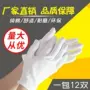 作业劳保礼仪汗布白手套