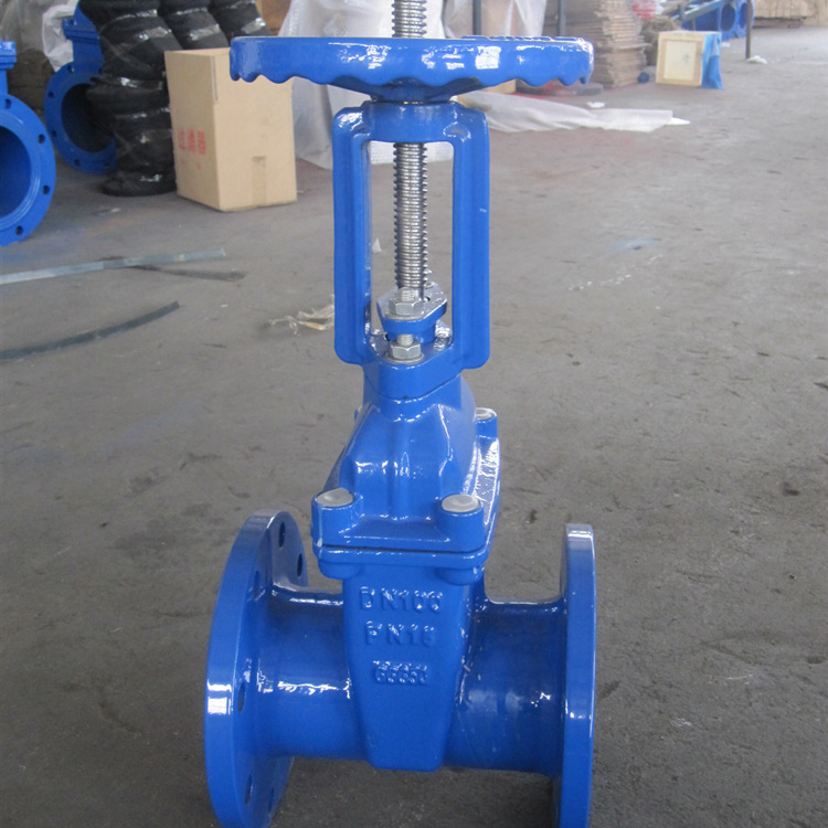 法兰软密封闸阀 明杆 双法兰加长杆 DN100 厂家直销现货