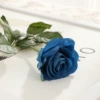 61#Light blue