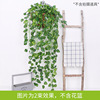 Simulation wall -mounted mountain tiger Changchun vine strip window decoration hanging orchid green plant fake flower decoration manufacturers wholesale