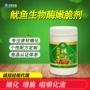 冰冻新鲜烤鱿鱼生物酶腌粉