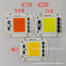 cobԴac220V110V6040ɵbLED20W30W50W͸RLED