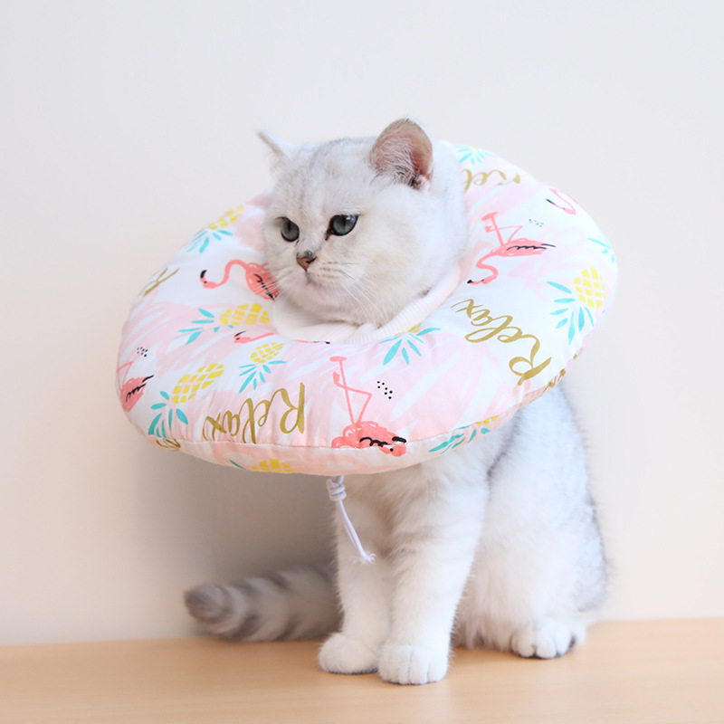 Nuevo gato Elizabeth anillo suave algodón capas de cabeza para mascotas perros gatos Elizabeth anillo collar gato