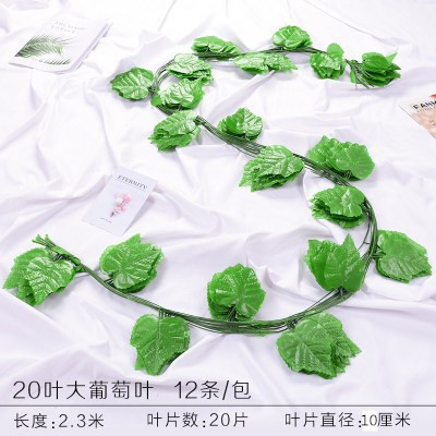 20 piezas hojas de uva grandes 1 paquete (12 piezas)
