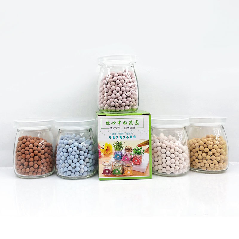 С����������ˮ������diyֲ�� �칫�����沣����ֲ���ܾ���