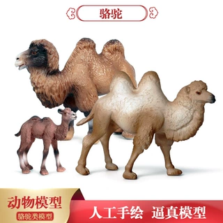 跨境儿童知识仿真静态实心野生动物模型玩具骆驼装饰摆件手办套装