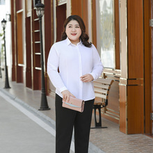2024年春季长袖翻领职业女衬衫韩版气质大码女装胖mm300斤白衬衣