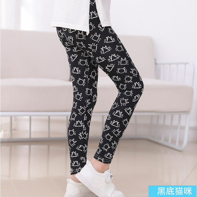 검은 배경 고양이