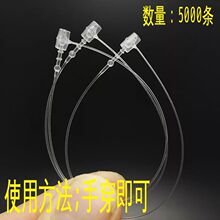 �S��ֱ�N��ĸ�۲�¶�^�ִ��zᘷ��b�����K�̘˵����K������ĸ����