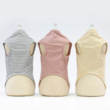 Одежда для любимой одежды для собачьей одежды кошки плюшевая собачья одежда весна и летняя новая домашняя одежда 19