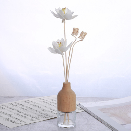 Wholesale Tragacanth Flower Dried Flower Special Vapor Tragacanth Flower Accessories Orchid No-Flame Aroma Diffuser Aroma Flower