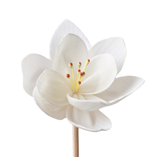 Wholesale Tragacanth Flower Dried Flower Special Vapor Tragacanth Flower Accessories Orchid No-Flame Aroma Diffuser Aroma Flower