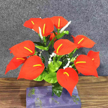 滨t14^qRɏc仨hҶYþƵe^ǱP