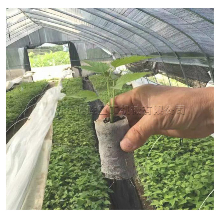 卧式轻基营养块机 全自动无纺布装土机 自动输送自动装土机