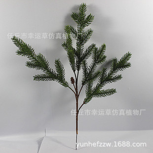 ����ɼ��֦ ���ɘ� ���̴�� ������b� �٘��b� �F�z���Ϲ���