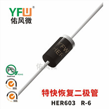 HER603 R-6����ؿ�ָ�������ӡ��HER603 �ӷ�΢Ʒ��