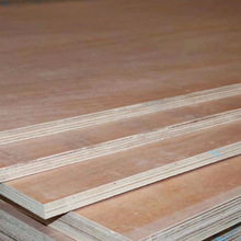 20mm���Ӱ� ���ȸ� �F؛�������b���� �z�ϰ����l���b�� ��ľ��