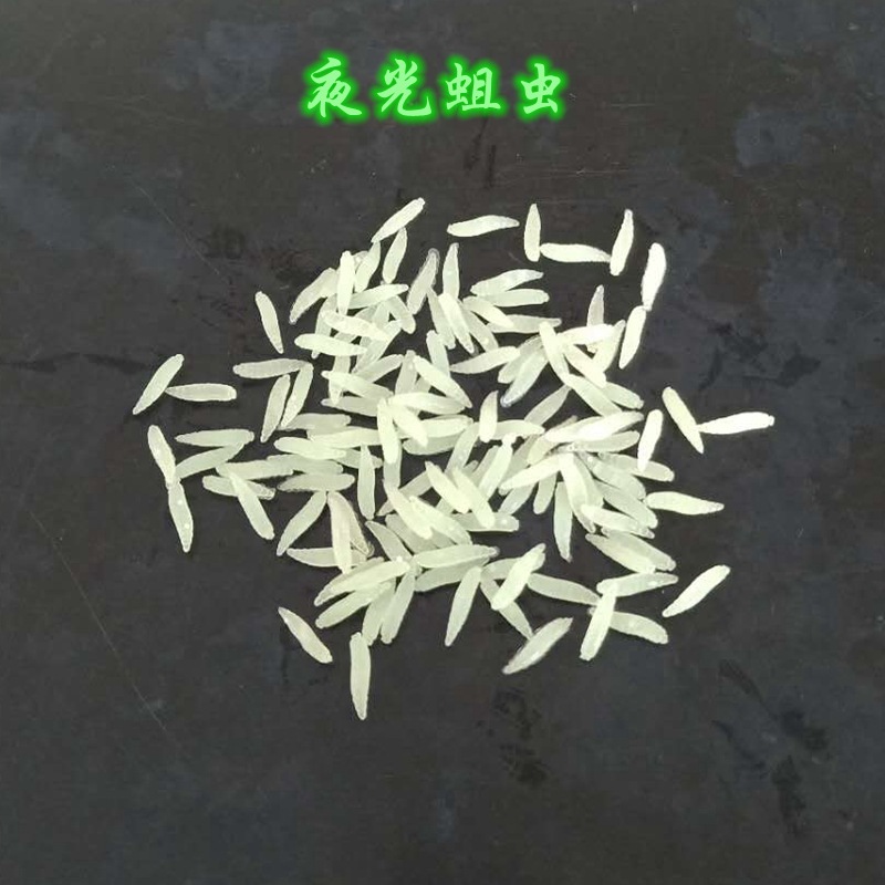 Transfronteriza Pisces gusano mosca pan gusano cebo falso suave gusano cebo suave luya luminosa imitación cebo artificial 50 piezas/bolsa