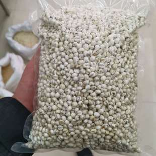 ���lƽؐĸ���bؐĸ�|�����C��ؐ ��ؐ�нӴ�؛����ă�