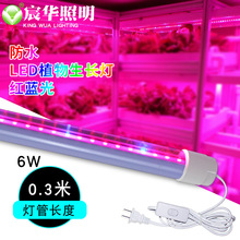 �t�{�����LEDֲ�����L����A�S�Ҝ��ҽM��������LED��ˮֲ�����