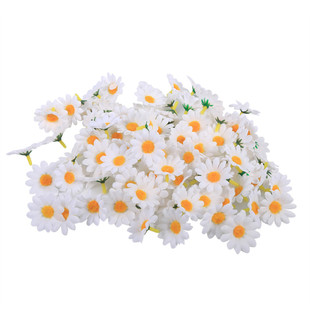 �S��ֱ�N ���uͨ 12�~̫ꖻ����^  ���滨 С�ջ����^ ���տ����^