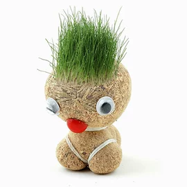 植物工艺品;栽培基质;陶瓷工艺品