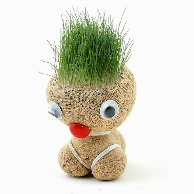 大眼萌仔小号草娃娃 长草娃娃/草头娃娃 青草娃娃种植 发芽娃娃