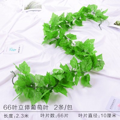 66 hojas de uva en tres dimensiones cifradas 1 paquete (2 piezas)