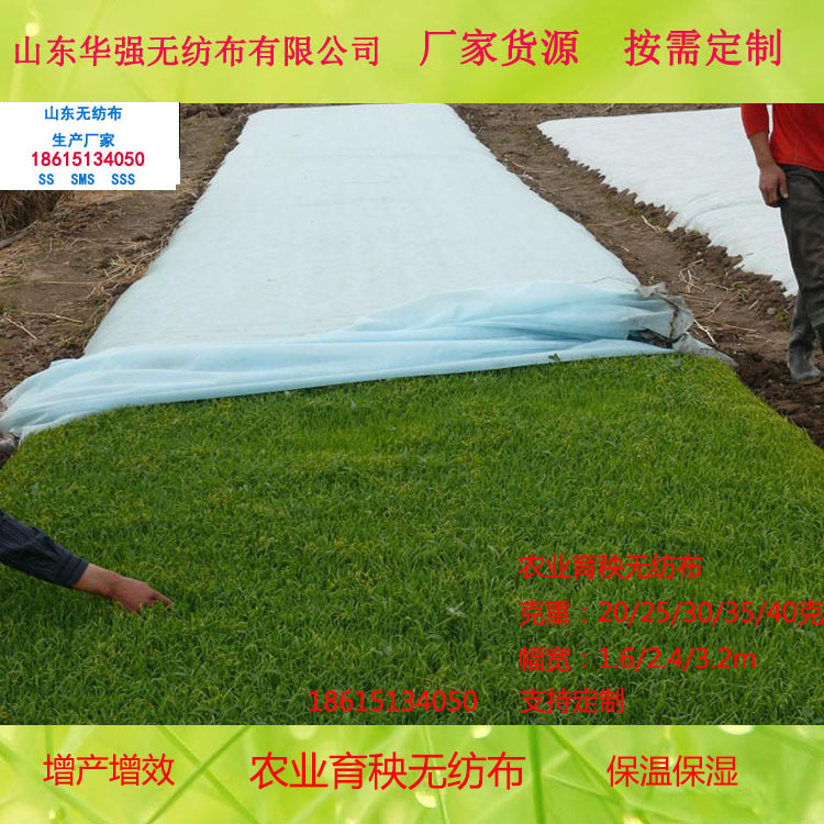 SMS防寒保温不织布口罩布料  购物袋医疗卫生布 纺粘PP苗木无纺布