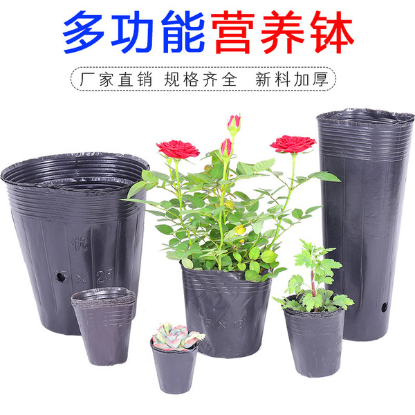 Nutrition pot manufacturers wholesale seedling cup black plastic…
