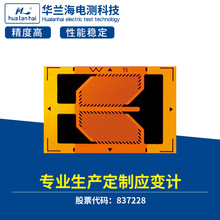 华兰海高精度电阻式应变片 应变片及贴片服务 称重测力压力传感器