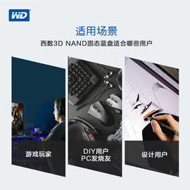 WD西部数据固态硬盘250G 500G 1T 2T 4T电脑SATA3蓝盘Blue系列SSD