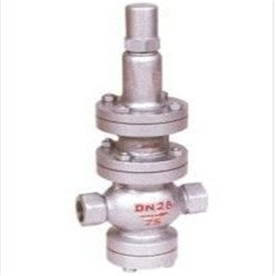 ���ݜp���y Y13H   DN50ͨ�^�{���{�����ɉ����O�����ډ���