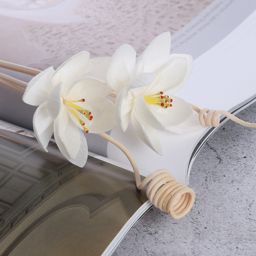Wholesale Tragacanth Flower Dried Flower Special Vapor Tragacanth Flower Accessories Orchid No-Flame Aroma Diffuser Aroma Flower
