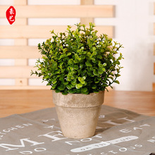 ������ֲ�ٻ��������ϻ��������辰�ҾӰڼ�װ�γ���ֱ�����컨